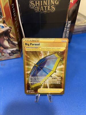 Big Parasol 199/189 GOLD Secret Rare Pokemon Darkness Ablaze -Mint