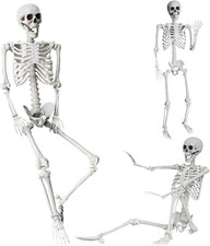 Halloween Skeleton Full Body Life Size Human Bones with Movable Joints 5.4ft