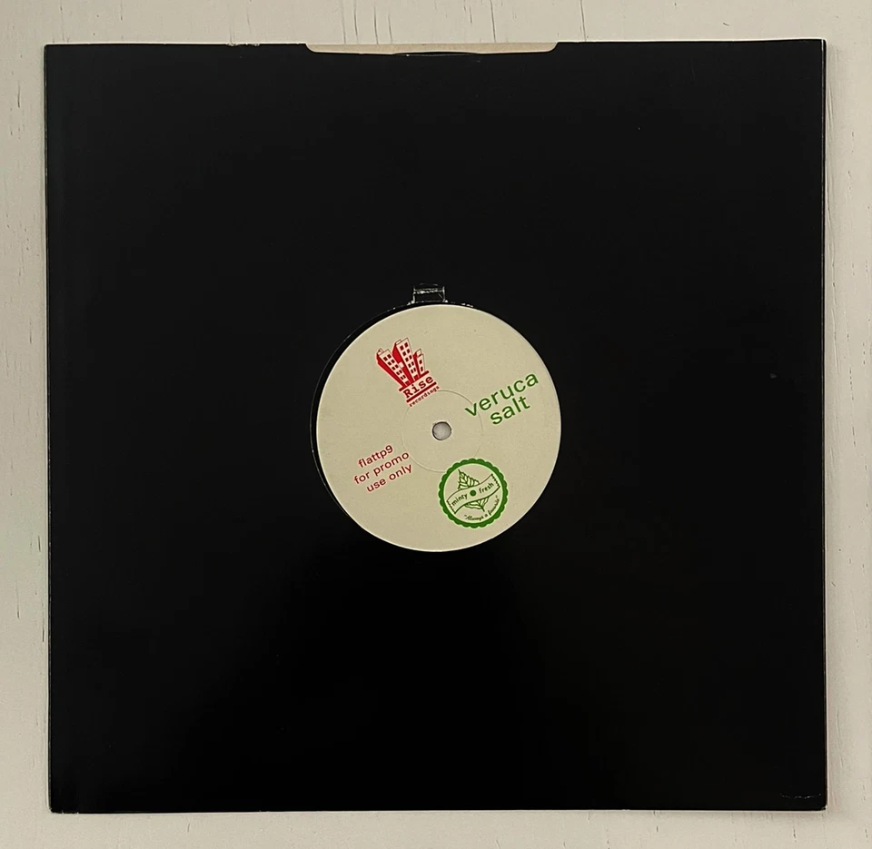 VERUCA SALT – American Thighs Sampler 12” vinyl promo 1994 UK Hi-Rise Recordings Foto 2 de 2