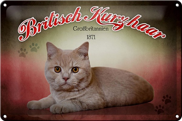 Blechschild Katze 30X20 Cm British Kurzhaar GroßBritanien Deko Schild Tin Sign-image