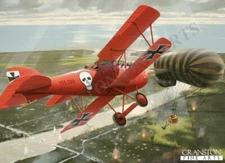 Albatross aviation art post card  Flik 41J's tace Hauptmann Godwin von Brumowski