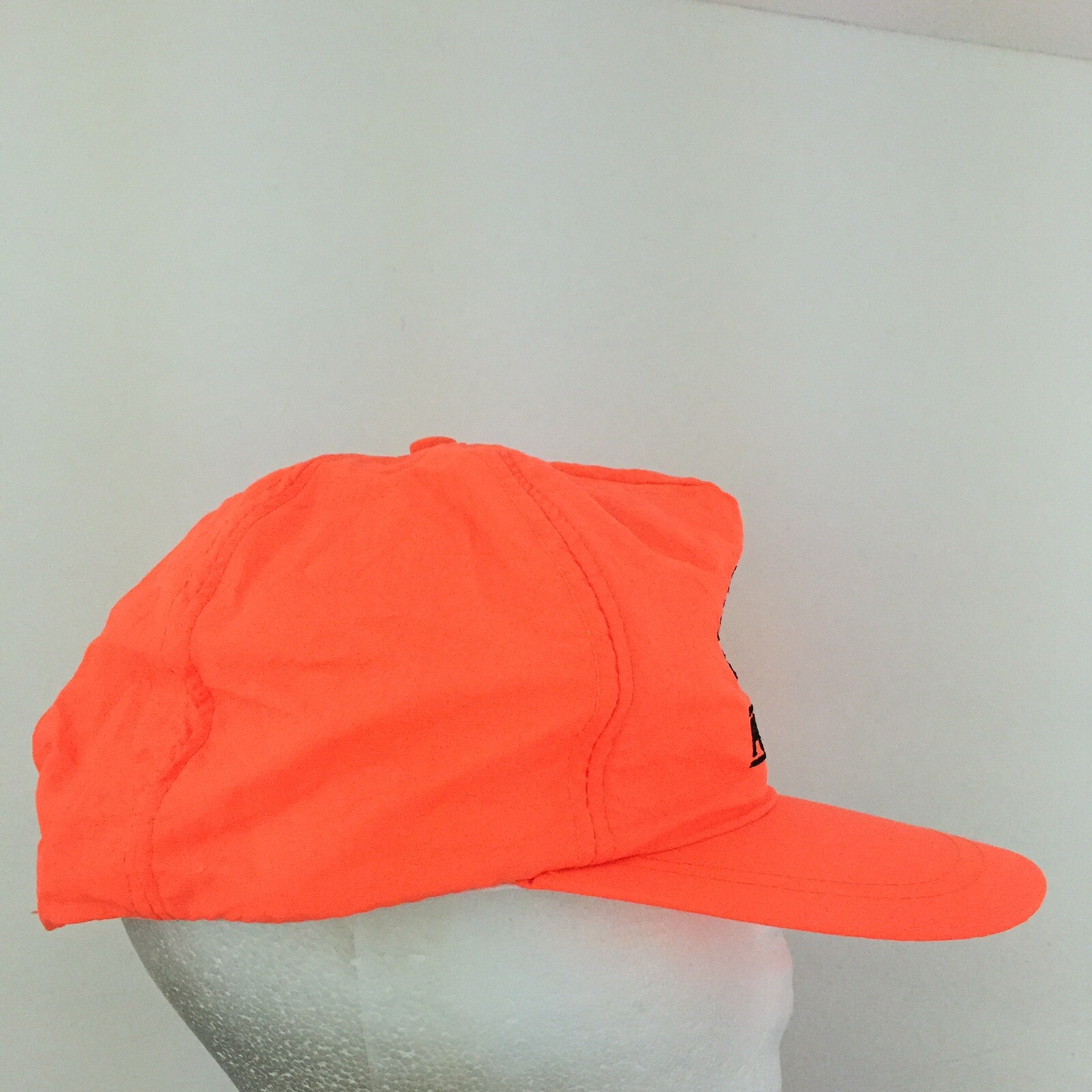 Picture 5 of 12