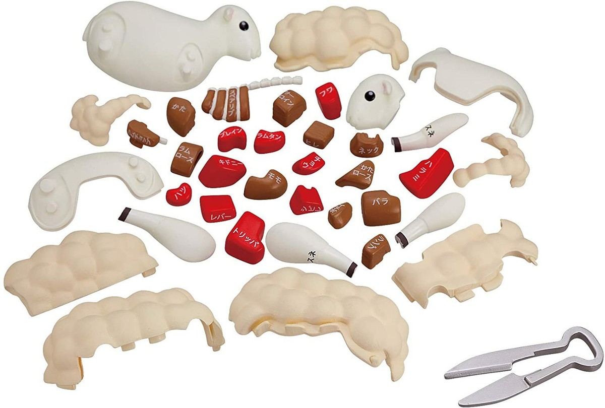 New MegaHouse Sheep Anatomy 3D Puzzle Organs Bones Cuts Game