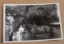  Photograph Social History Horse At Gate with His Family 1960's 