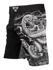 Raven Fightwear Men's Thor MMA Fight Shorts BJJ Grey 