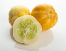 20 Seeds Lemon Cucumber 1890 Heirloom Unique Tasty 