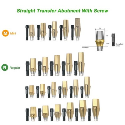 US Titanium Hex Straight Transfer Abutment Mini Regular Fit Osstem Hiossen TS