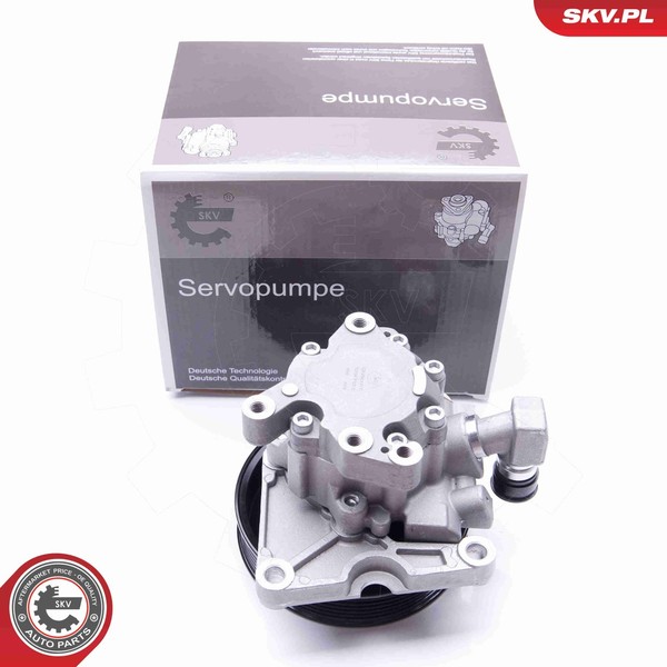 Esen SKV Hydraulikpumpe Lenkung 10SKV124 FüR Mercedes Klasse Aluminium W163 320-image
