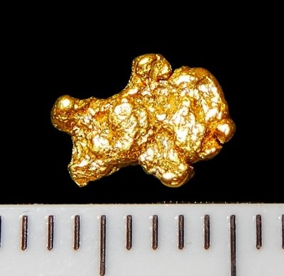 XXL GOLDNUGGET 7 mm Goldnuggets Nugget Barren Gold Nuggets Münze + Zertifikat!
