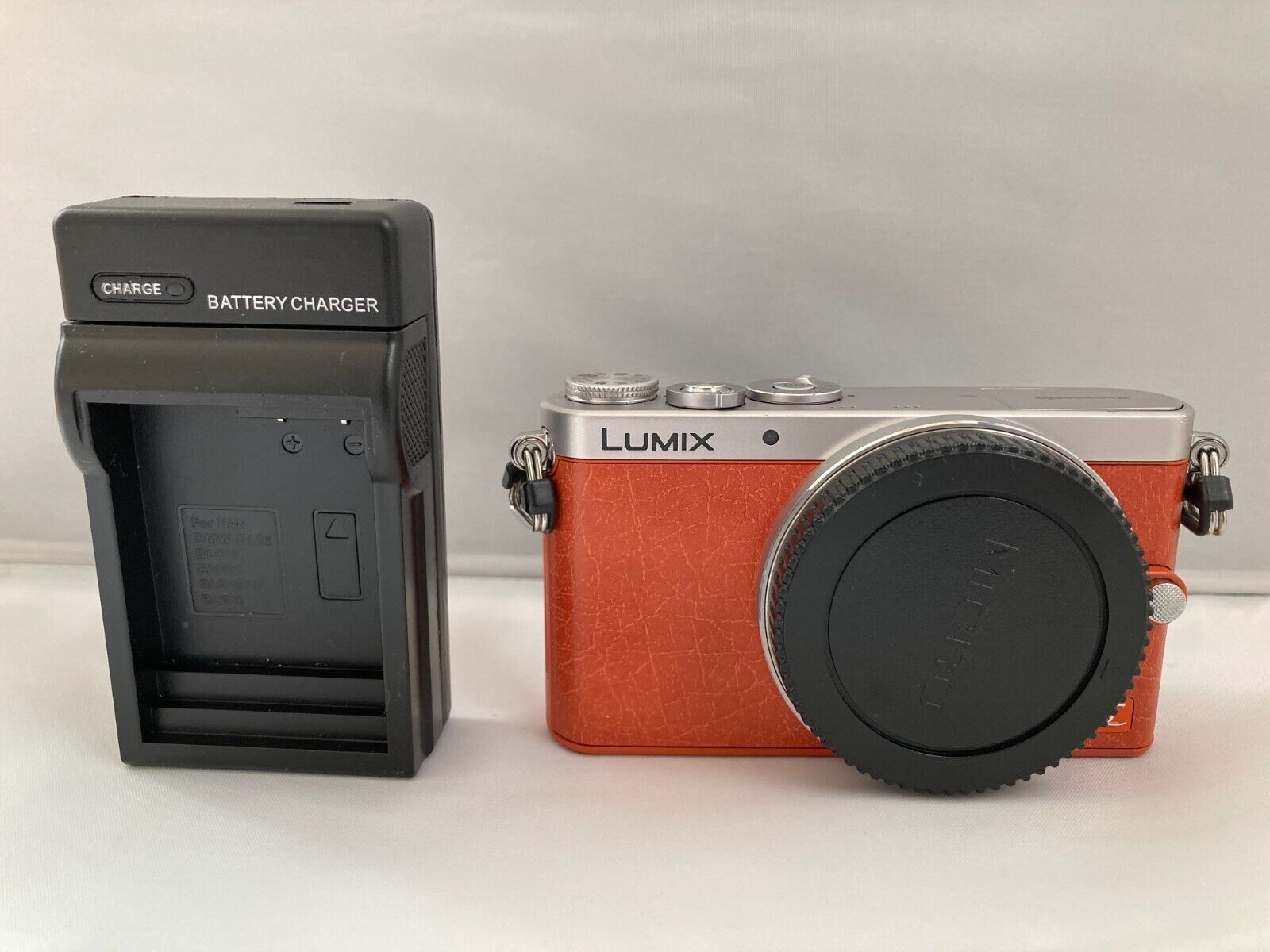 Bedachtzaam Recyclen Schurk EXC++ Panasonic Lumix DMC-GM1 Orange body Digital Camera From JAPAN | eBay