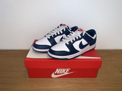 Nike Dunk Low Retro Valerian Blue, Größe US 7,5 EU 40,5
