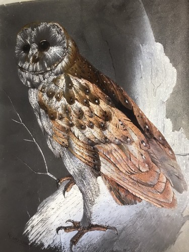 Vintage Framed Barn Owl Picture Foil Metallic By Malcoln Greensmith - Picture 5 of 5