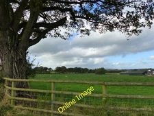 Photo 12x8 View towards Parc-y-Deri Farm Tregare  c2014