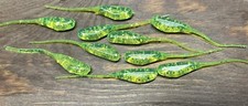 2.3” Fry Mini Shad Soft Plastic Panfish Drop Shot Perch Crappie Bluegill 60pk