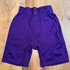 Vtg Letrell Softball Shorts Mens Small NOS 80s Gym Football Coach Purple New