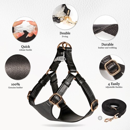 Job Lot Leatherette Dog Harnesses Lead Set for Small Dogs 61 pieces - Picture 14 of 21
