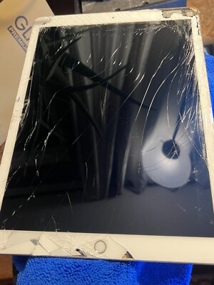 Apple iPad Pro (12.9-inch) A1584 256 GB, Wi-Fi, 12.9 in - Gold for