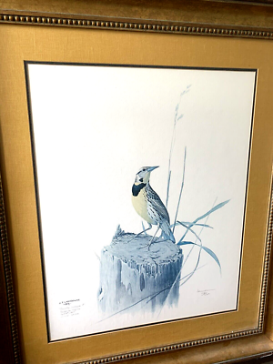 James Fenwick Lansdowne Signed & No. Print 