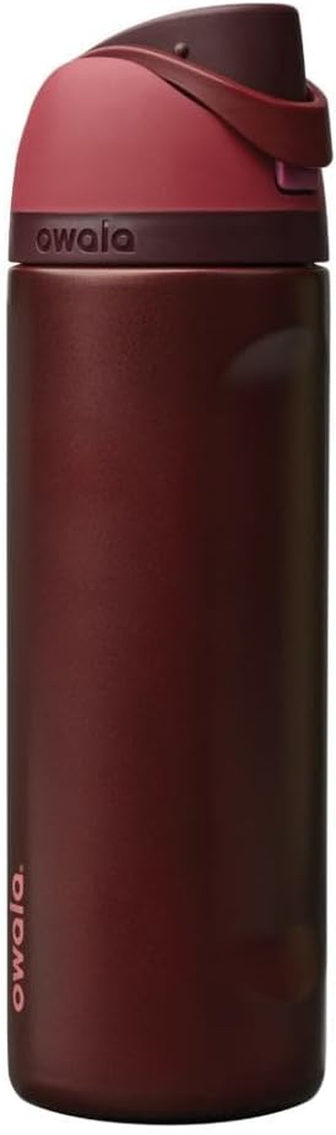 Freesip Insulated Stainless Steel Water Bottle with Straw, Bpa-Free Sports Water