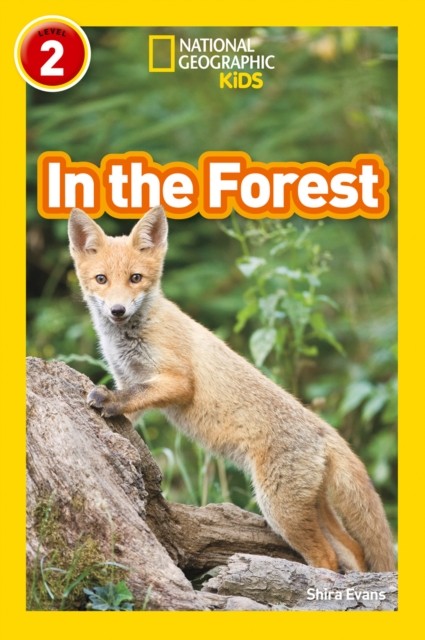In the Forest: Level 2 (National Geographic Readers)-Shira Evans - Image 4