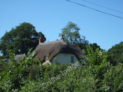 Photo 6x4 Thatched roof in Culm Davy It is not clear what the leading str c2010
