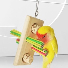 Papagei Kauspielzeug Conure bunte Holzstäbchen Umweltschutz