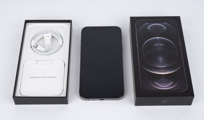 Apple iPhone 12 Pro Max 256GB Spacegrau Graphit ohne Simlock Dual-SIM Topzustand
