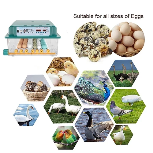 36x Egg Digital Incubator Hatcher Temperature Control Fully Automatic Turning - Picture 10 of 13
