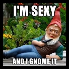 I'm sexy and I Gnome it Funny garden humor seductive hot cuddly kissable MAGNET