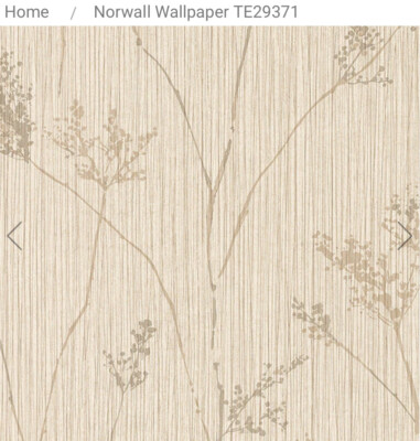 Norwall Wallcoverings  TE29371 Texture Style 2 Cow Parsley Wallpaper Cream