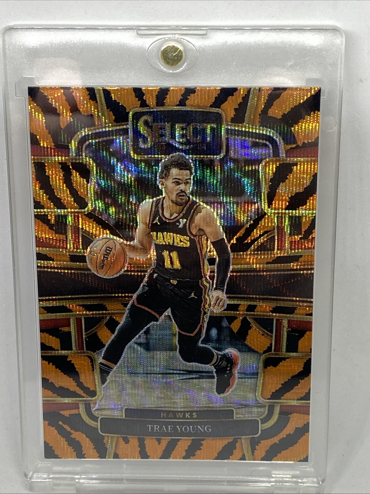 2023 Select Trae Young Tiger Prizm Parallel SSP Concourse 43 Mint With One Touch