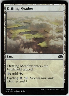 Foil Drifting Meadow 245 Dominaria Remastered C