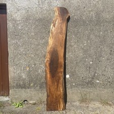 ENGLISH WALNUT SLAB LIVE EDGE KILN DRIED  2100 x 350/250 x 50mm