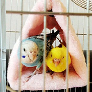 budgie bed