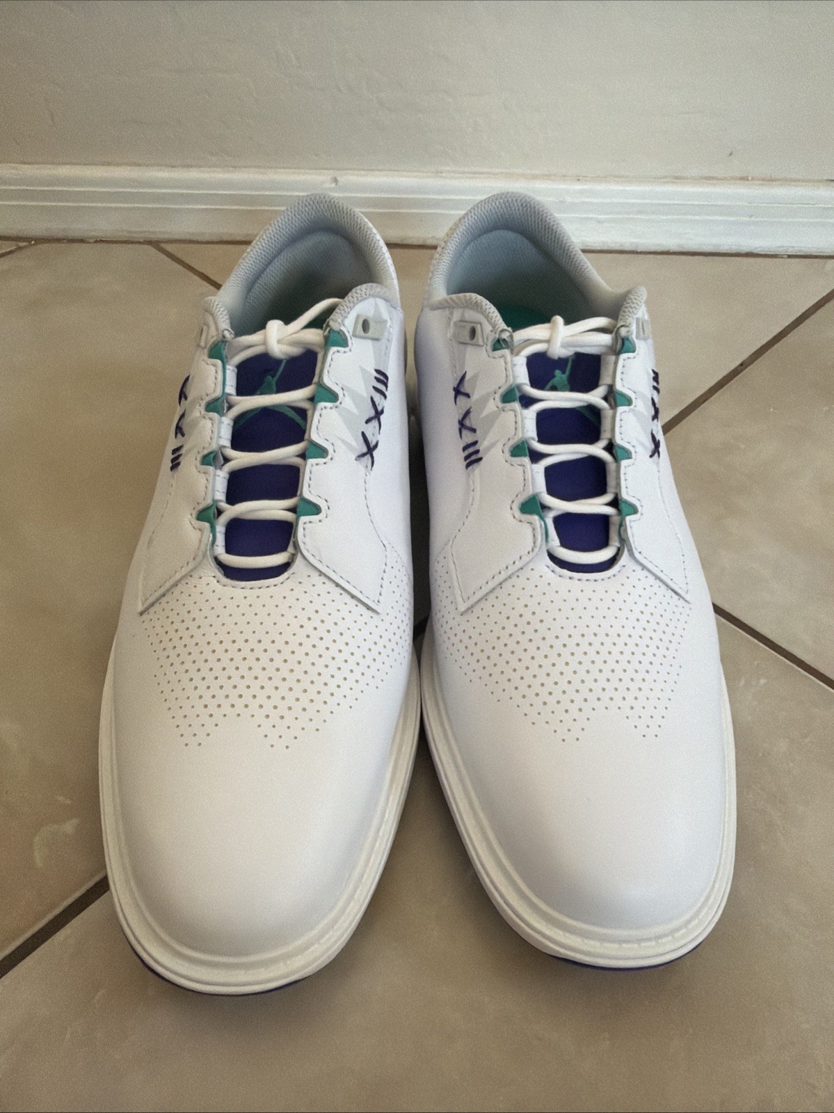 NIKE AIR JORDAN ADG 5 Golf Spikeless Shoes Mens 10.5 White Grape Purple FQ7874 thumbnail 2