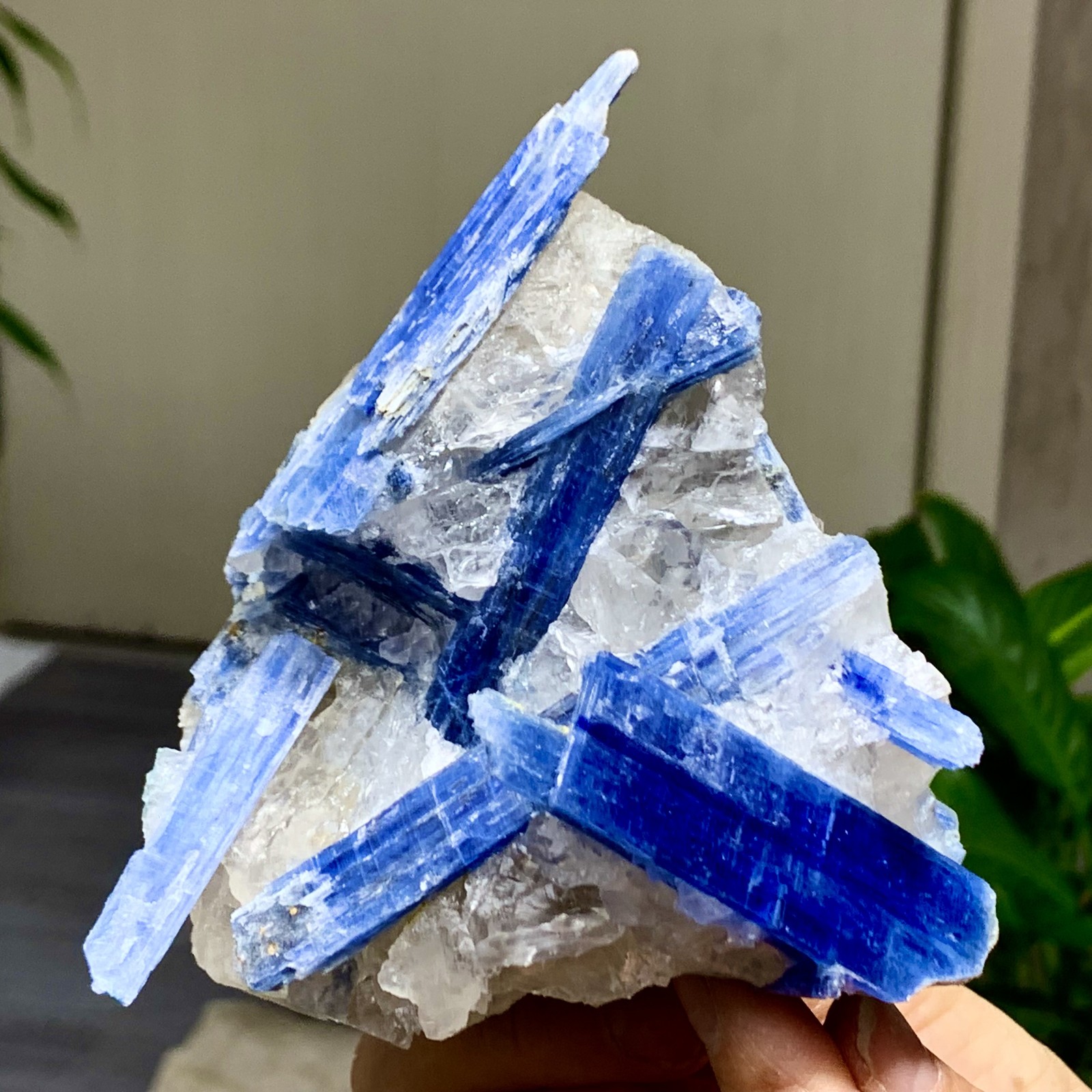 531G Rare!! Natural beautiful Blue KYANITE with Quartz Crystal Specimen Rough