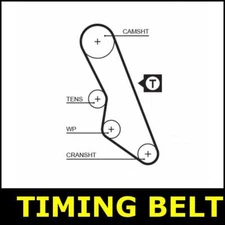 Timing Belt Cam Fits Peugeot BOXER I 2.0 RFL RFW 230L 244 ZCT SX3145