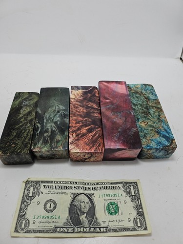 5x Polished Burlwood Knife Handle Scales Pen Blanks Burl Wood Appx 5"x 2"x1" #G