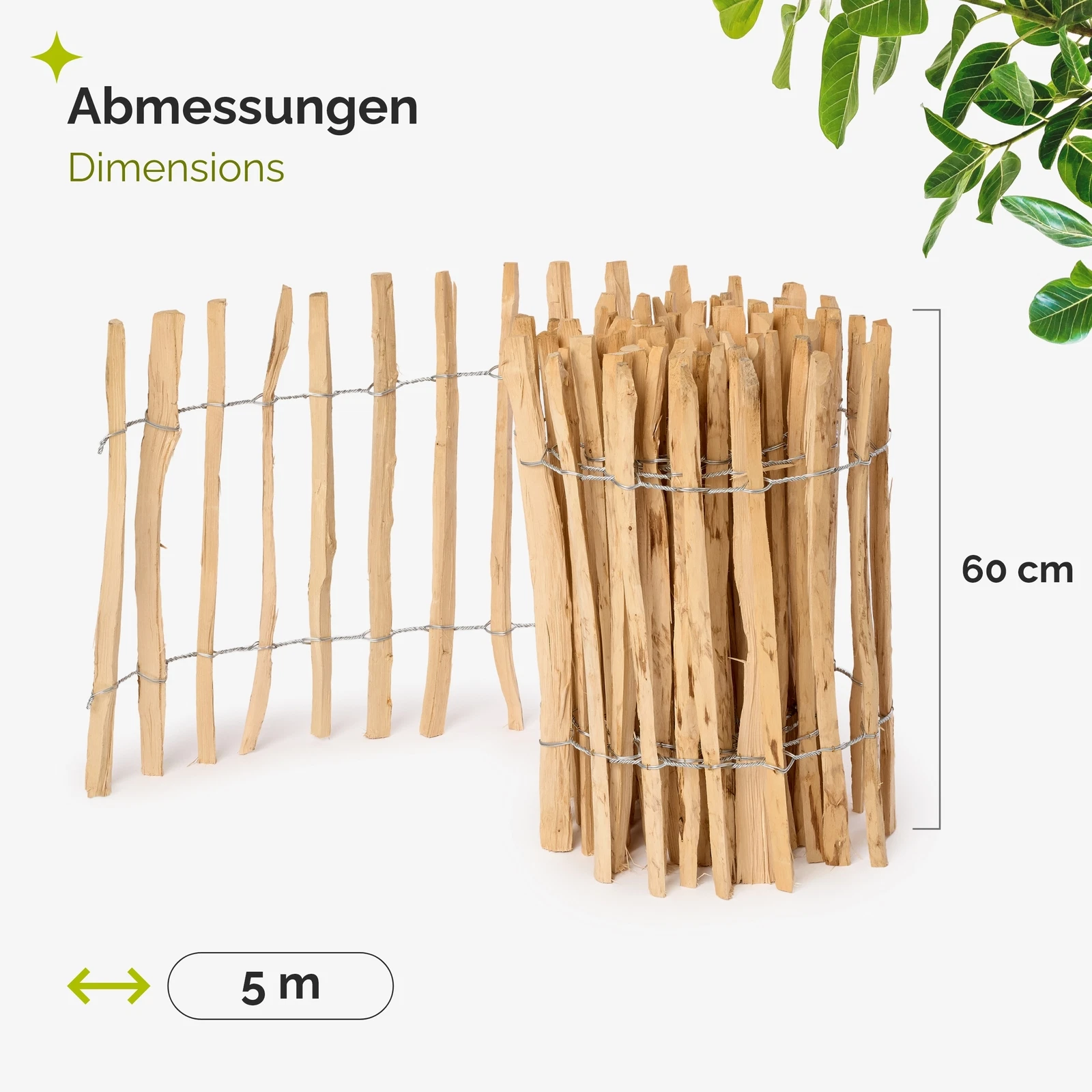 Bild 36 von 47