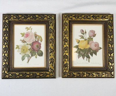 Ethan Allan P.J. Redouté  Rosa Indica Rose Centifolia Foliacea Floral Framed Art
