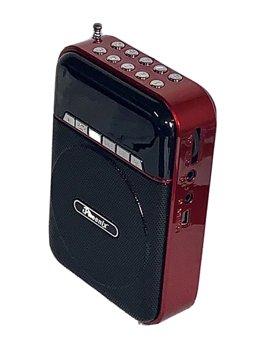 bluetooth speaker Ridgeway wireless fm Radio usb tf with microphone Recharge