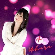 Uehara Art Photo Collection (+3.500) Ai U. 