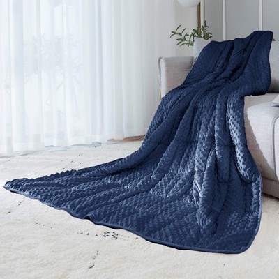 ALANSMA Reversible Weighted Blanket for All Season, 40''x60'' 7lbs, Blue 