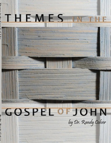 Randy Colver | Themes In The Gospel Of John | Taschenbuch | Englisch (2009)-image