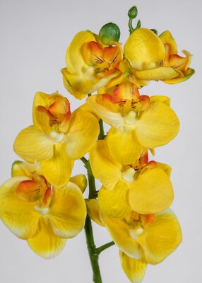 Orchideenzweig 52cm gelb FI Kunstblumen knstliche Orchidee Blumen Pflanzen  | eBay.de