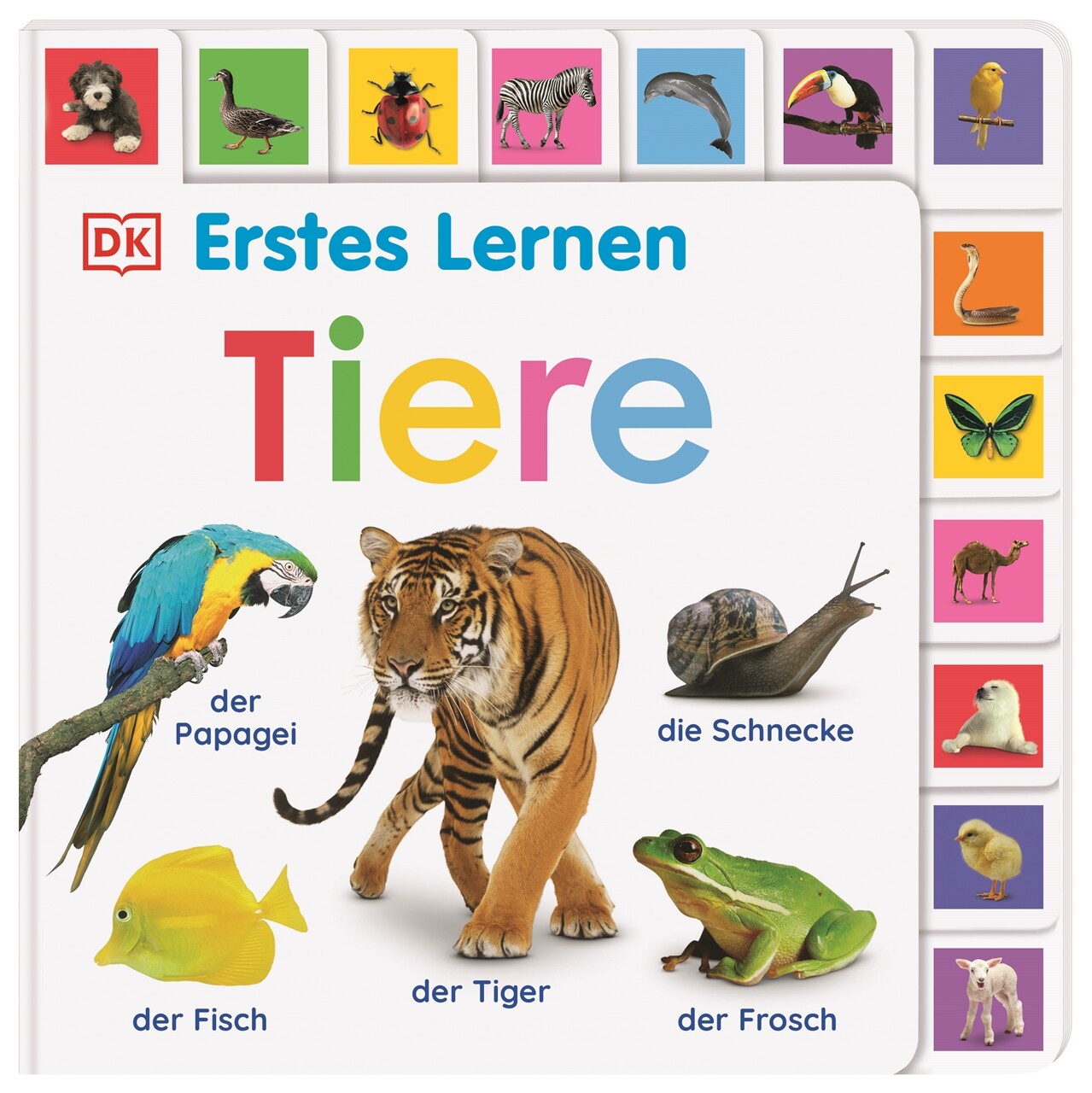 Thumbnail - Unbekannt. / Erstes Lernen. Tiere