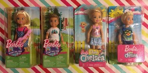 barbie world of chelsea bundle