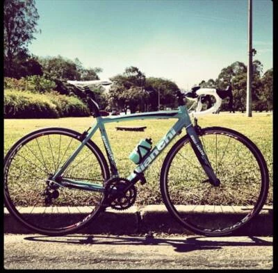 bianchi gumtree