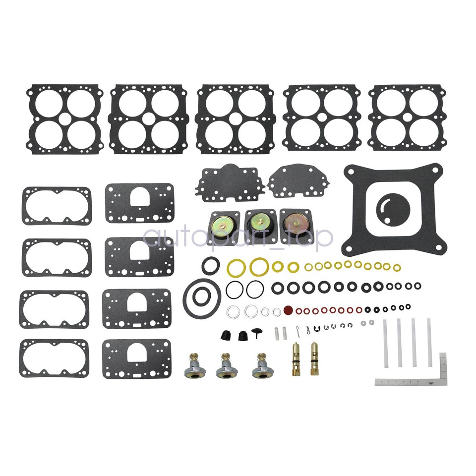 Holley 650 Double Pumper Rebuild Kit