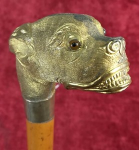 Details About Cane With Fist Head Dog Dog In Gold Filledprinciples Of The 20th Century Spain